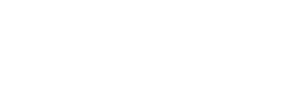 Frost logo